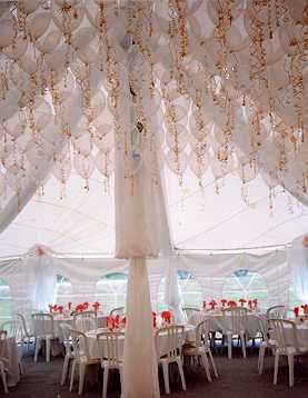 PHOTO: ...tent rental with balloon canopy..."