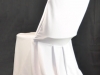 Chair Cover and Chair November Special only <b> $2.99</b>